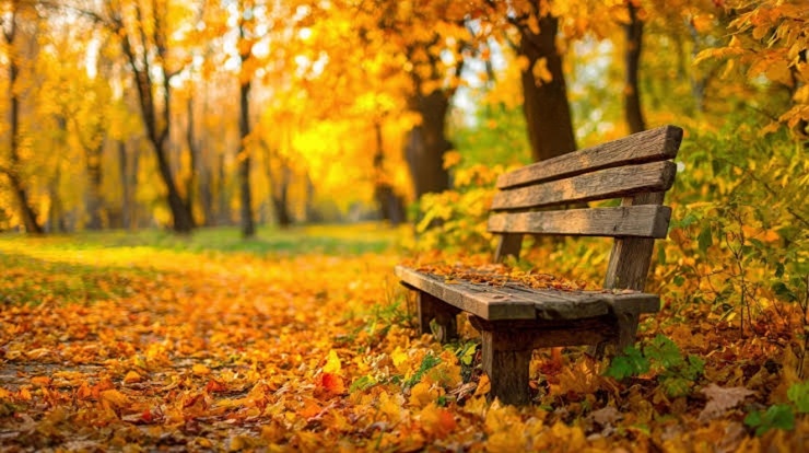Empty park bench